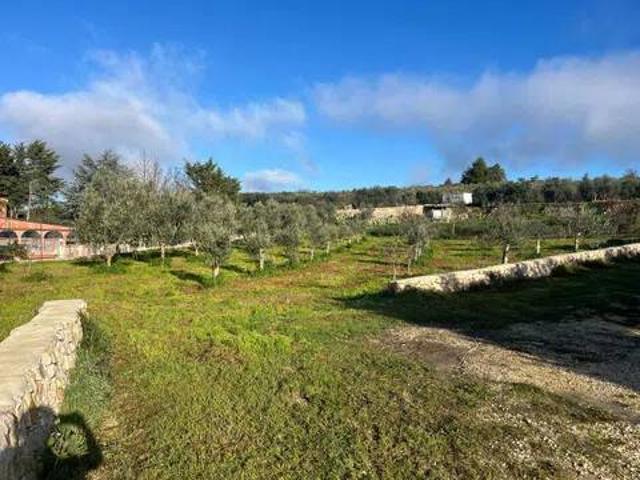 Terreno in vendita a Puglia, Bari