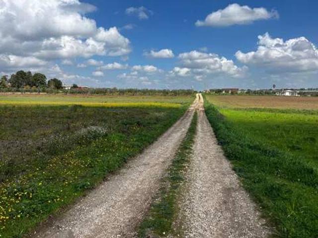 Terreno in vendita a Puglia, Bari