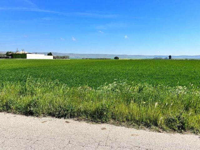 Terreno in vendita a Puglia, Bari