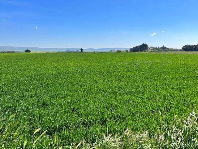 Terreno in vendita a Puglia, Bari