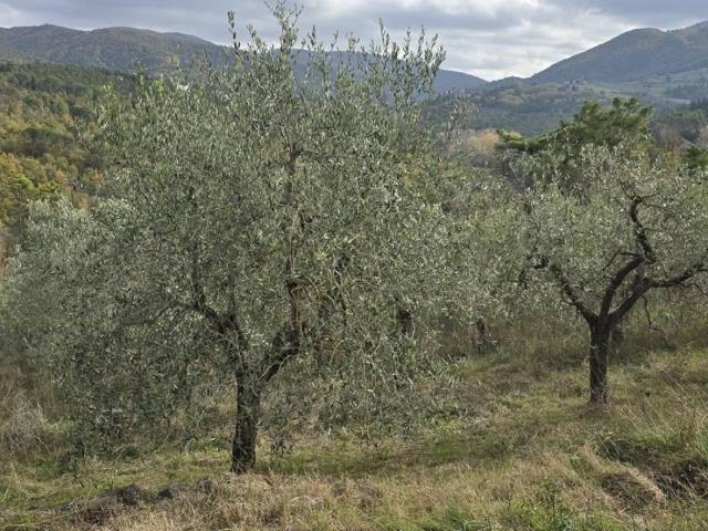 Terreno in vendita a San Polo In Chianti, Toscana