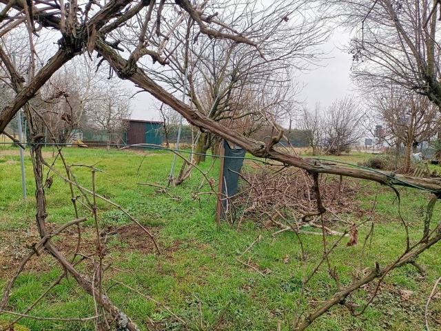 Terreno in vendita a Grezzago, Lombardia