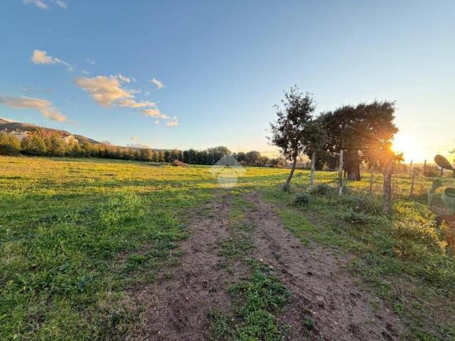 Terreno in vendita a Calabria, Cosenza