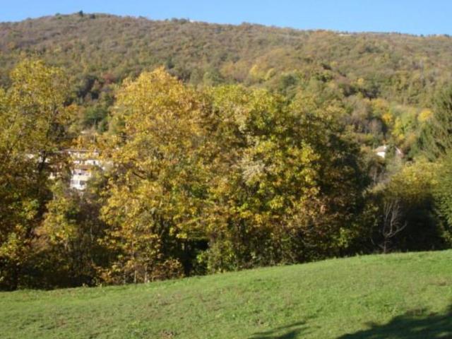 Terreno in vendita a Sant'Antonio, Grone