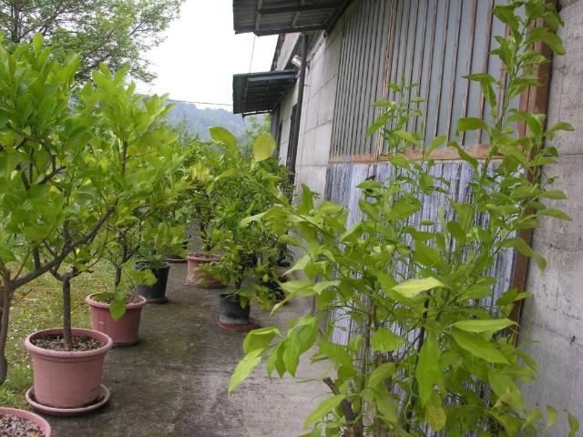 Terreno in vendita a Gropparello, Reggio Emilia