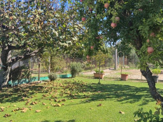 Terreno in vendita a Crespi, Grosseto