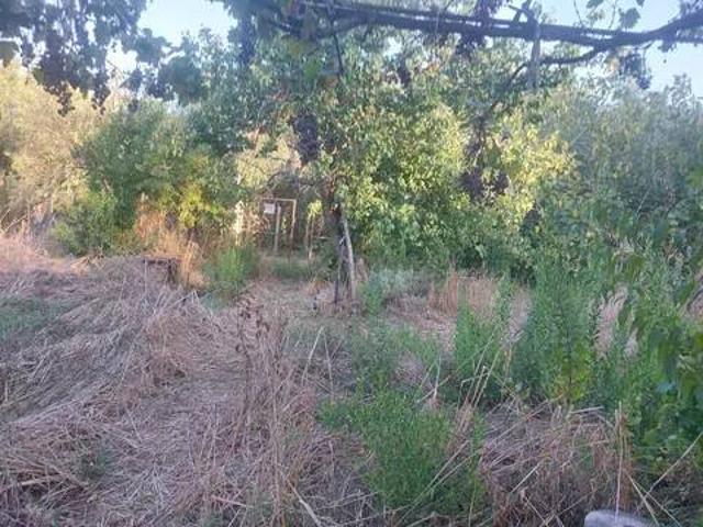 Terreno in vendita a Crespi, Grosseto