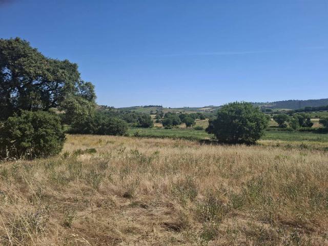 Terreno in vendita a Magliano In Toscana, Toscana