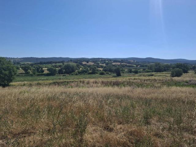 Terreno in vendita a Magliano In Toscana, Toscana