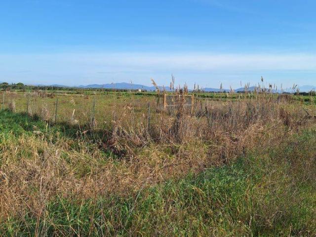 Terreno in vendita a Casotto dei Pescatori, Grosseto