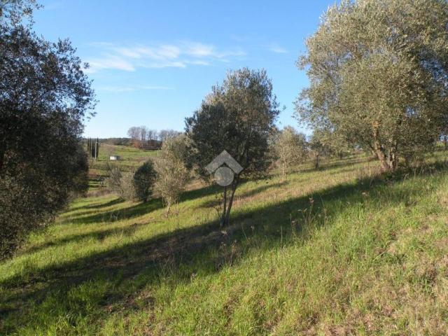 Terreno in vendita a Monte Argentario, Toscana