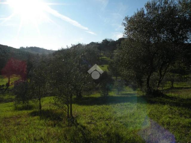Terreno in vendita a Monte Argentario, Toscana