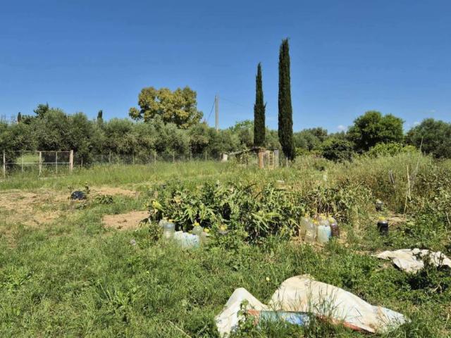 Terreno in vendita a Alberino, Grosseto