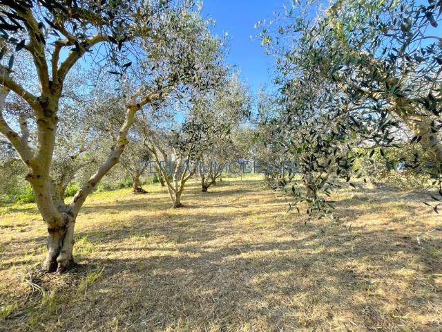 Terreno in vendita a Principina Terra, Monte Argentario