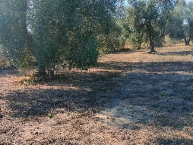 Terreno in vendita a Rugginosa, Monte Argentario