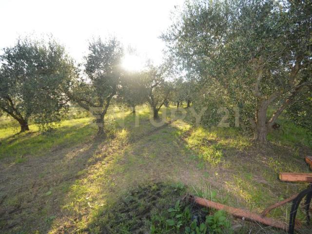 Terreno in vendita a Barbanella, Monte Argentario