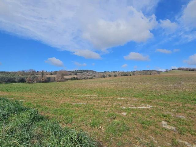Terreno in vendita a Monte Argentario, Toscana