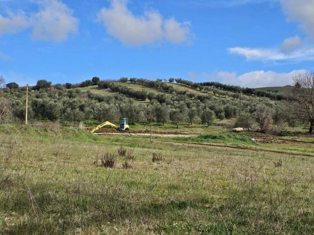 Terreno in vendita a Monte Argentario, Toscana
