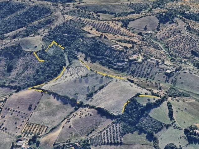 Terreno in vendita a Monte Argentario, Toscana