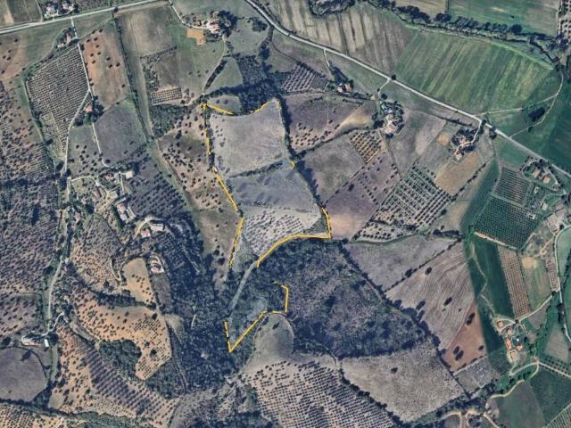 Terreno in vendita a Monte Argentario, Toscana