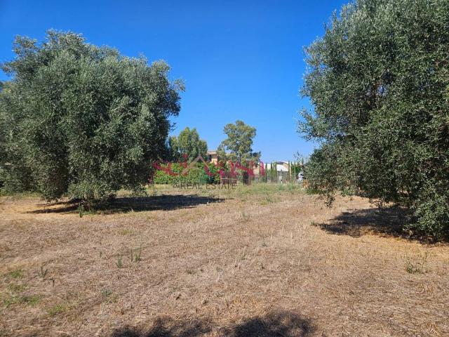 Terreno in vendita a Rugginosa, Monte Argentario
