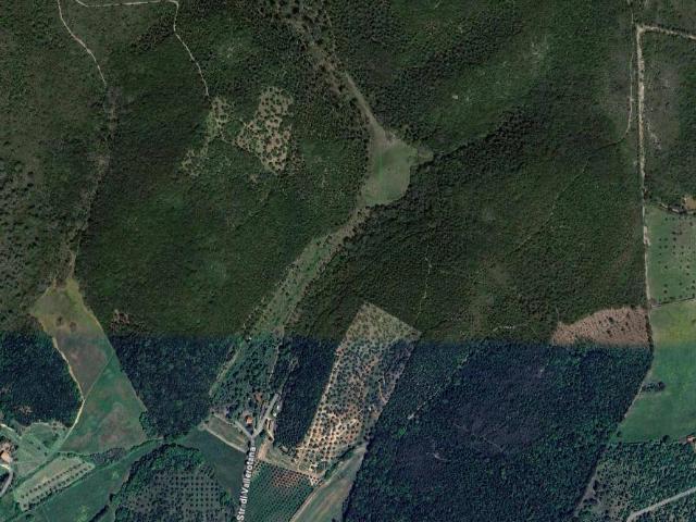 Terreno in vendita a Grosseto