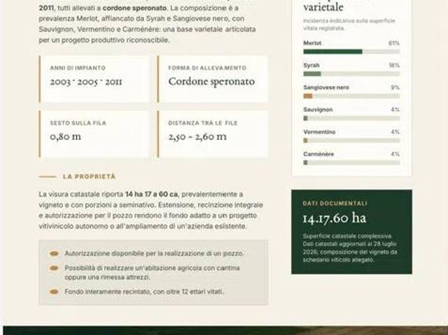 Terreno in vendita a Alberese, Grosseto