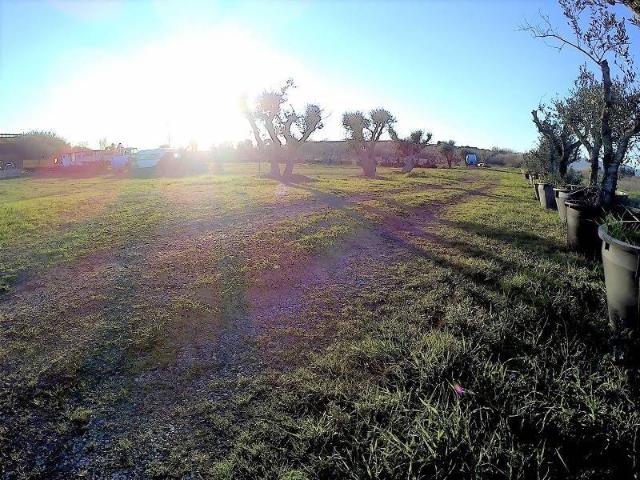 Terreno in vendita a Poggione, Grosseto