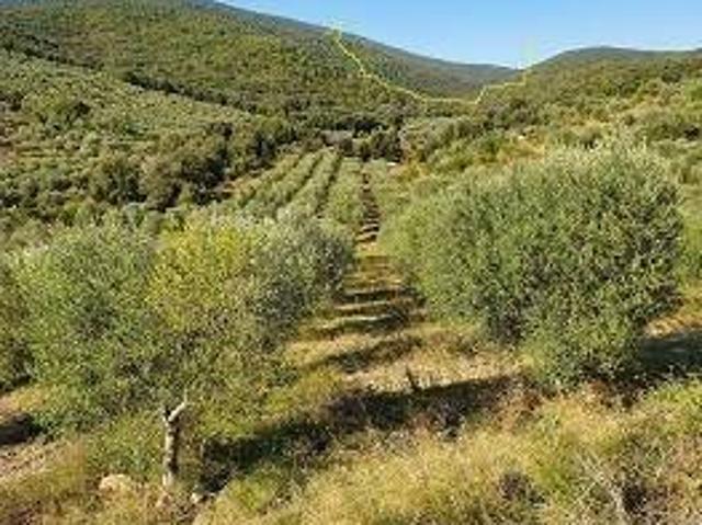 Terreno in vendita a Batignano, Grosseto