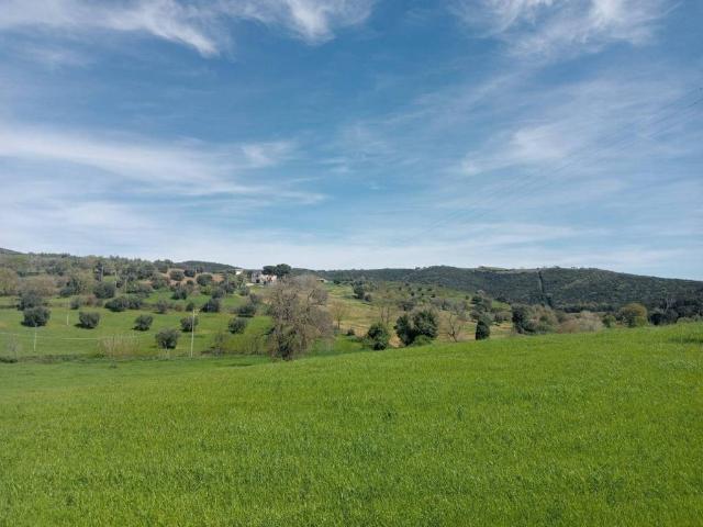 Terreno in vendita a Monte Argentario, Toscana