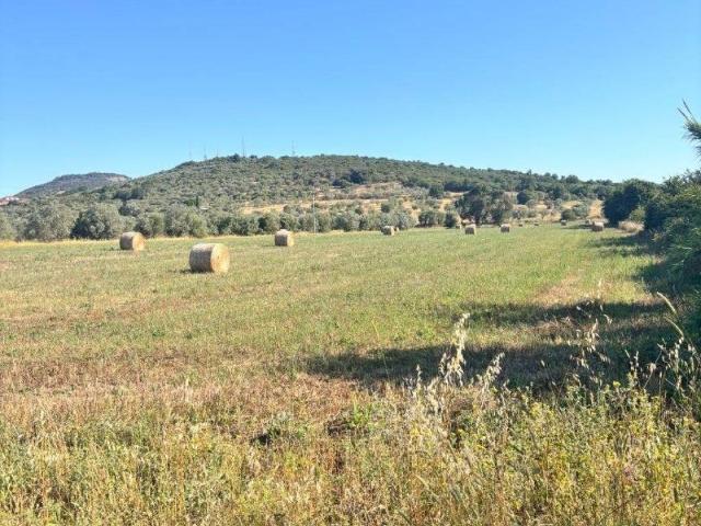 Terreno in vendita a Casalecci, Monte Argentario