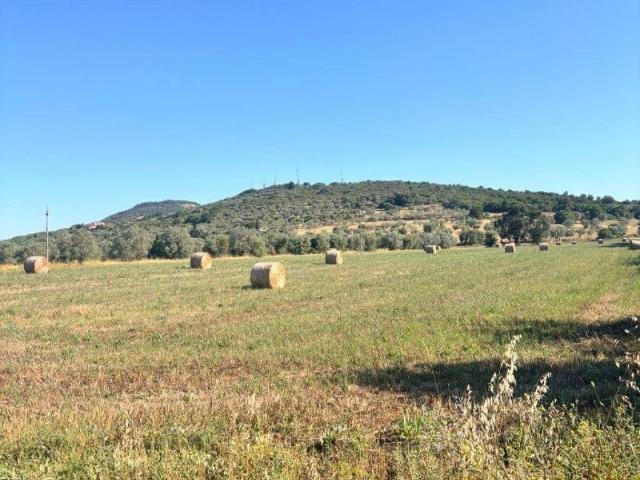 Terreno in vendita a Casalecci, Monte Argentario