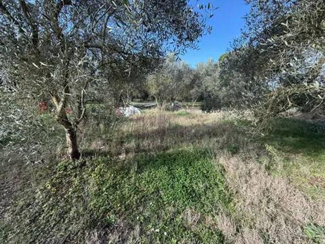 Terreno in vendita a Barbaruta, Grosseto