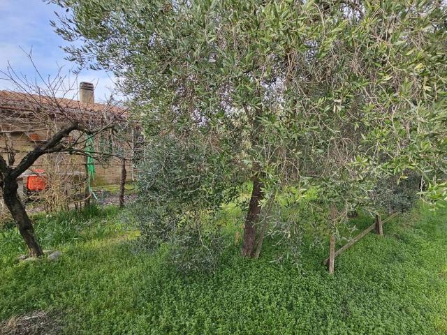 Terreno in vendita a Rugginosa, Monte Argentario