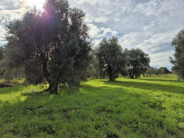 Terreno in vendita a Rugginosa, Monte Argentario
