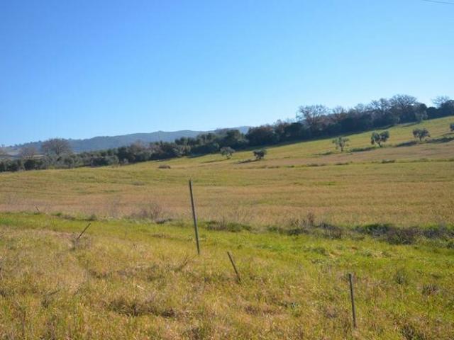 Terreno in vendita a Monte Argentario, Toscana