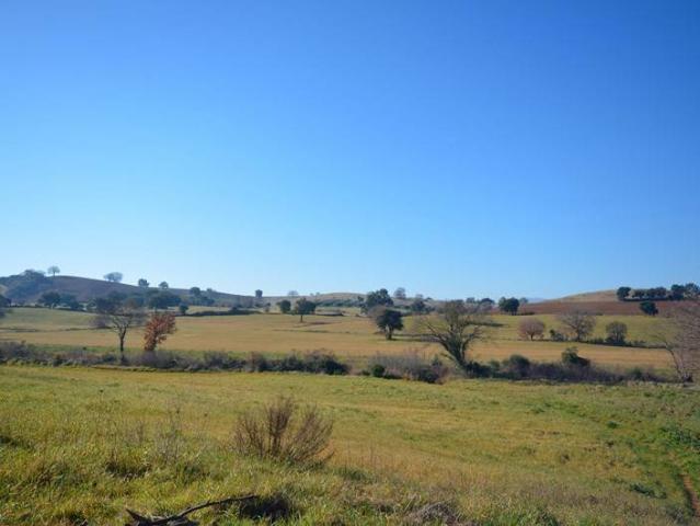 Terreno in vendita a Monte Argentario, Toscana