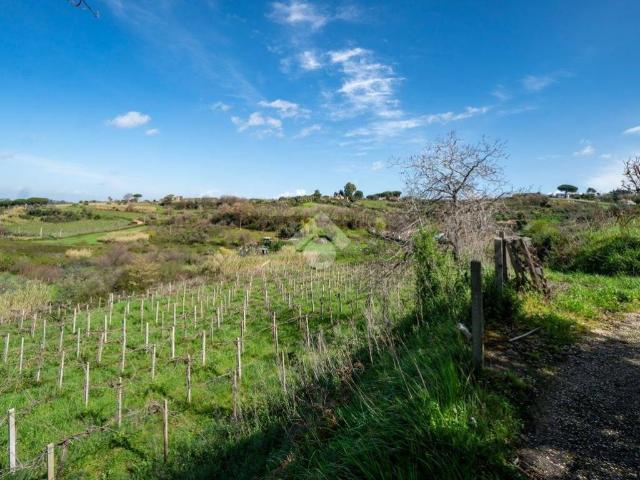 Terreno in vendita a Roma Capitale, Lazio