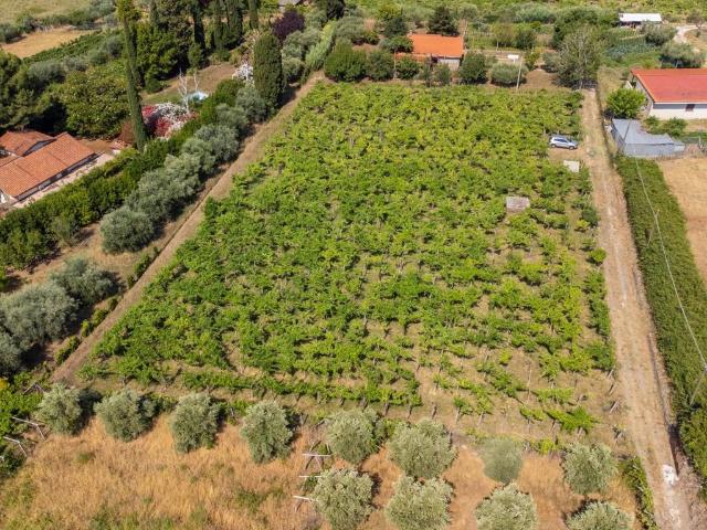 Terreno in vendita a Roma Capitale, Lazio