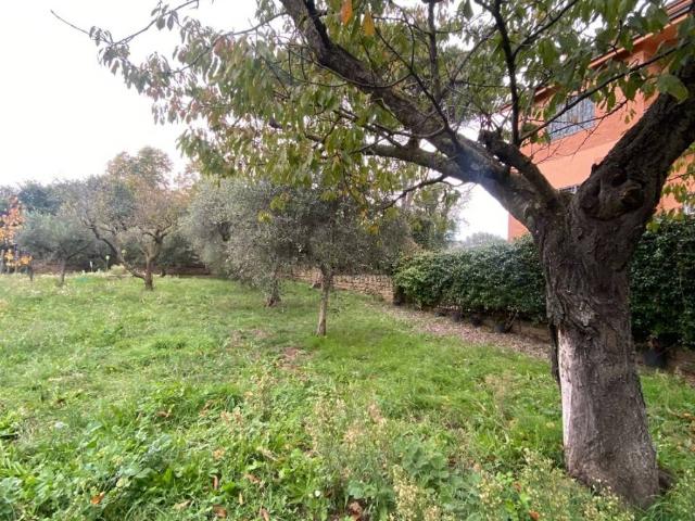 Terreno in vendita a Roma Capitale, Lazio
