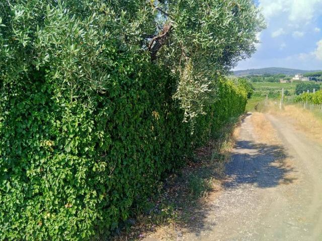 Terreno in vendita a Roma Capitale, Lazio
