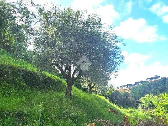 Terreno in vendita a Roma Capitale, Lazio
