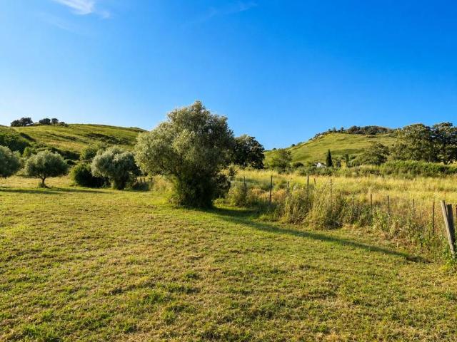Terreno in vendita a Roma Capitale, Lazio