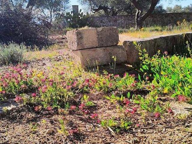 Terreno in vendita a Puglia, Taranto