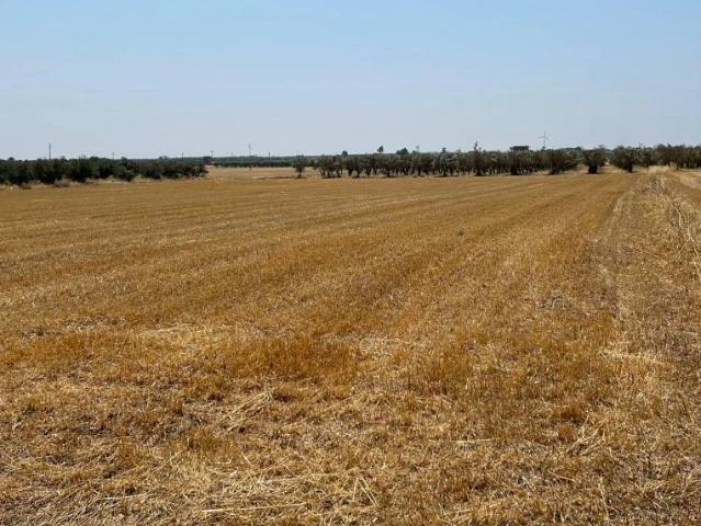 Terreno in vendita a Puglia, Brindisi