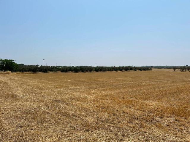 Terreno in vendita a Puglia, Brindisi
