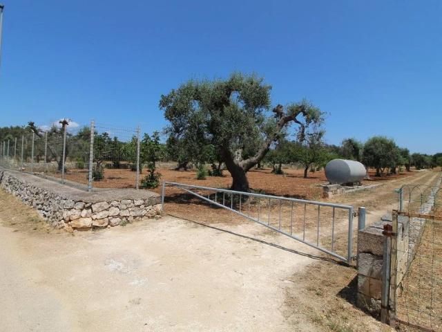 Terreno in vendita a Puglia, Taranto