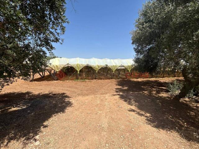 Terreno in vendita a Puglia, Taranto
