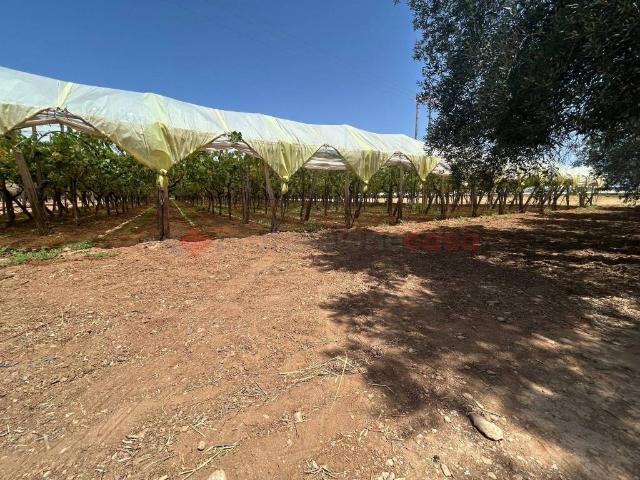 Terreno in vendita a Puglia, Taranto