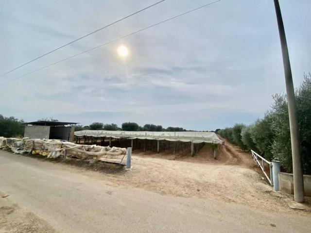 Terreno in vendita a Puglia, Taranto